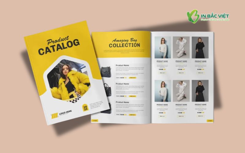 Catalog quần áo đẹp, màu sắc nổi bật