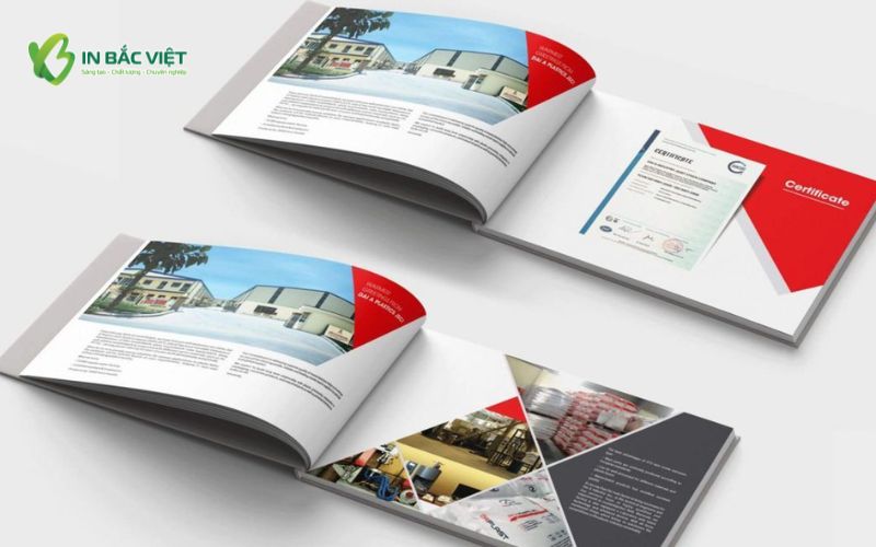 Catalog khổ A5 giới thiệu sản phẩm doanh nghiệp với bố cục rõ ràng, dễ theo dõi