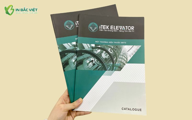 Mẫu catalogue A4 doanh nghiệp giới thiệu sản phẩm dùng trong marketing bán hàng