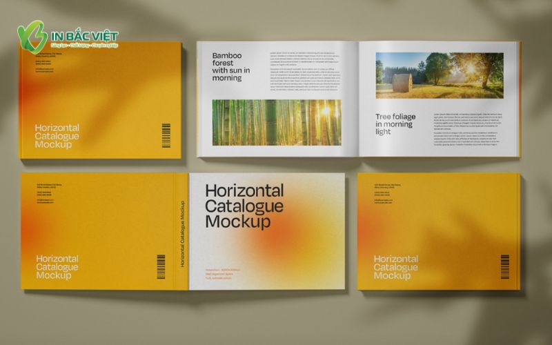 Mẫu catalogue A5 mockup với bố cục thiết kế hiện đại