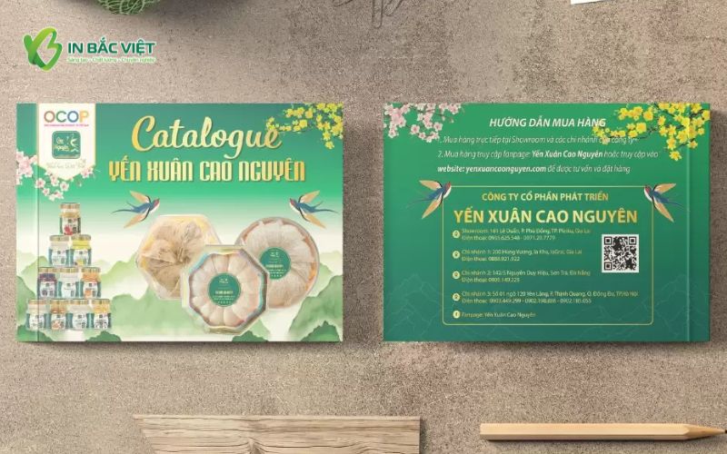 Mẫu catalogue A5 giới thiệu sản phẩm yến sào sang trọng