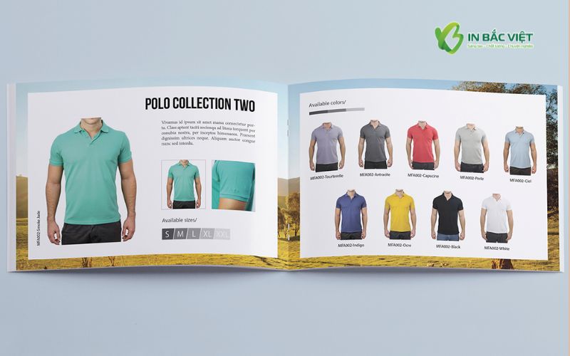 Catalogue thương hiệu thời trang áo phông khổ ngang