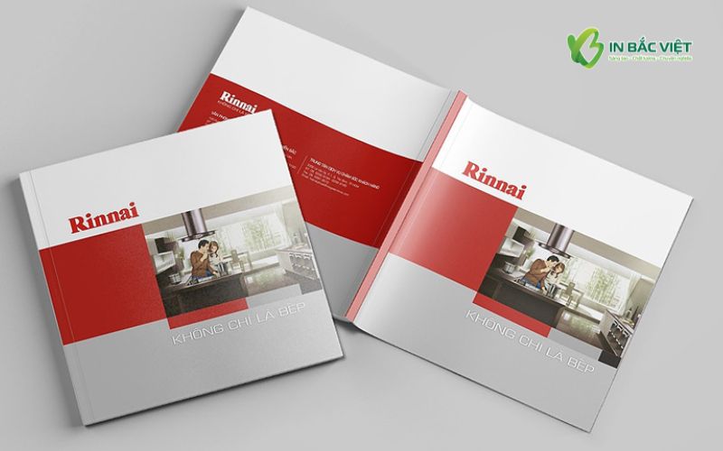 Kích thước catalogue vuông 20x20cm thiết kế gọn gàng