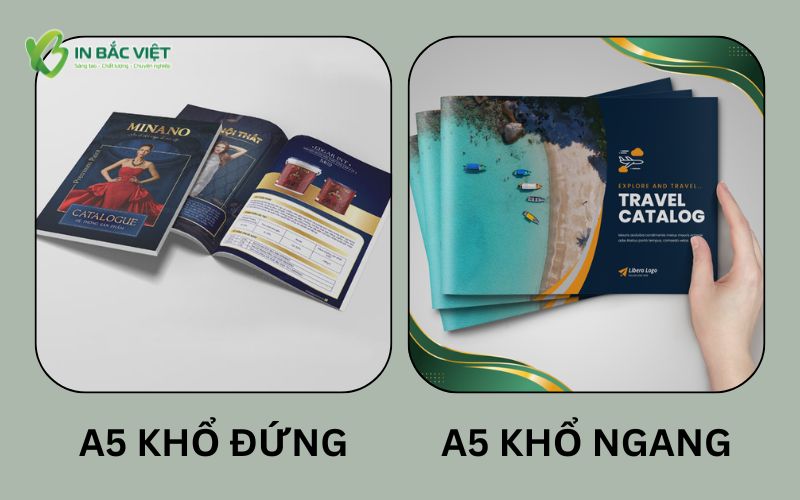Mẫu catalogue A5 khổ đứng và khổ ngang phổ biến trong in ấn