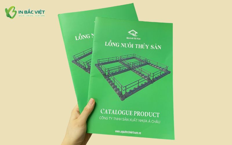 Mẫu catalogue sản phẩm nuôi trồng thủy sản khổ A4 dọc bìa mềm