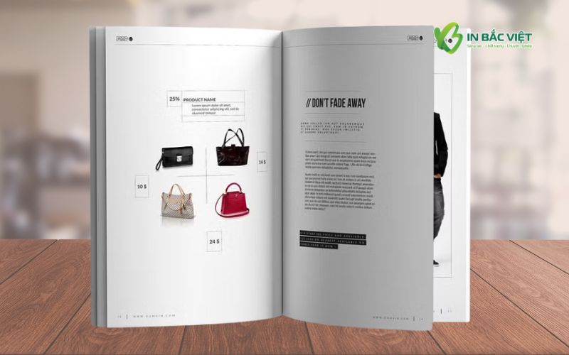 Mẫu catalogue phụ kiện thời trang túi xách nữ