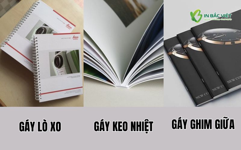 So sánh catalogue gáy lò xo, gáy keo nhiệt và ghim giữa trong in ấn