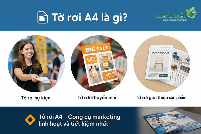 to-roi-a4-la-gi-ung-dung-pho-bien