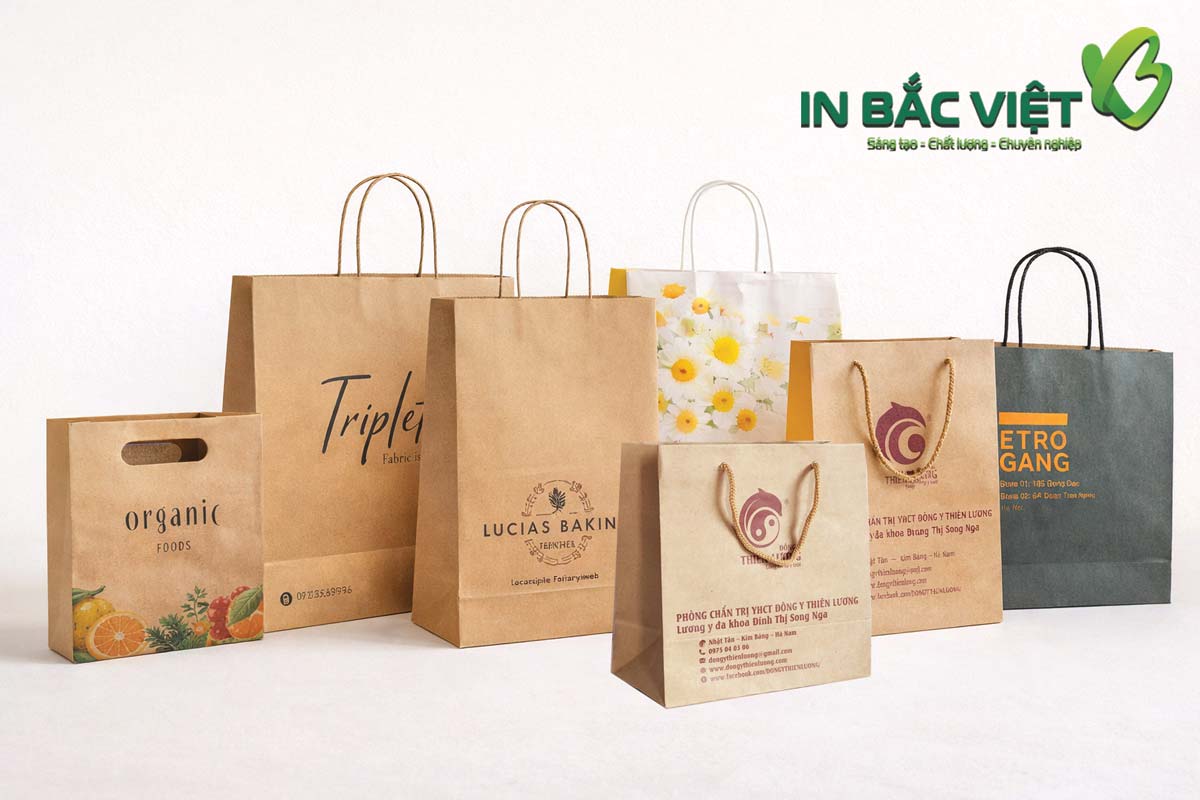bao-gia-in-tui-giay-kraft-phu-thuoc-kich-thuoc-va-kieu-tui