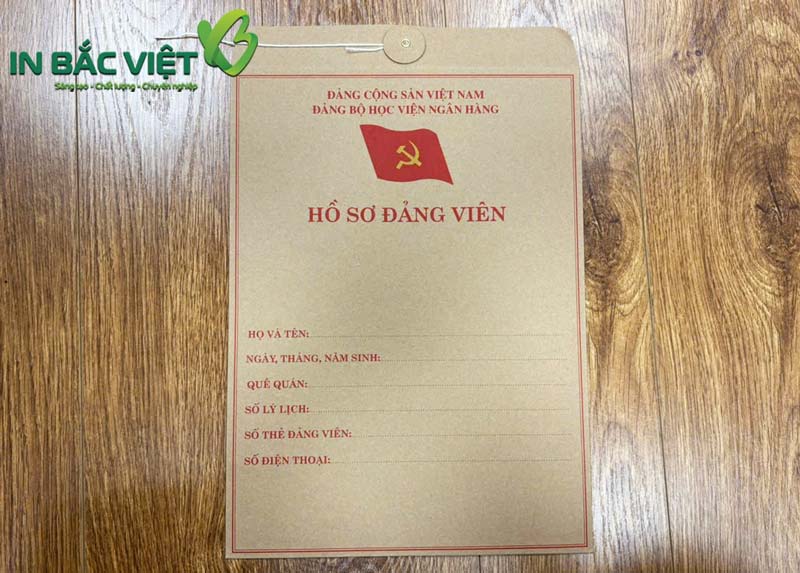 in túi giấy kraft đựng hồ sơ tài liệu lưu trữ nội bộ