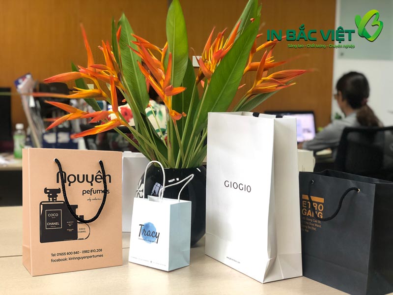 tui-giay-kraft-dung-my-pham