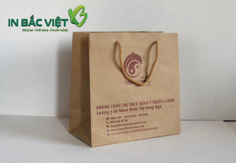 tui-giay-kraft-in-logo-doanh-nghiep-dung-cho-su-kien