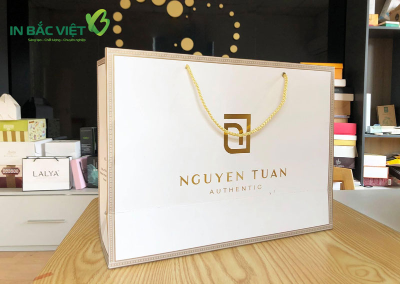 Tui-giay-shop-thoi-trang-in-chat-lieu-giay-ivory