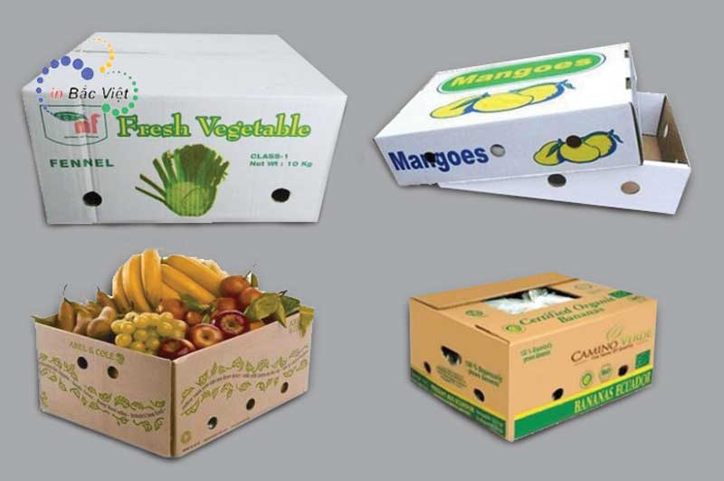 Vỏ hộp carton thân thiện với môi trường, giá in ấn lại rẻ