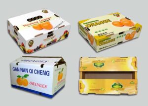 việc in hộp carton theo yêu cầu tăng tính chuyên nghiệp