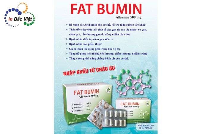 Mẫu tờ rơi quảng cáo Fat Bumin