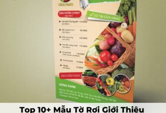 MẪU TỜ RƠI GIỚI THIỆU SẢN PHẨM