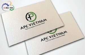 Giấy mỹ thuật ánh trai dùng để in card visit dập nổi