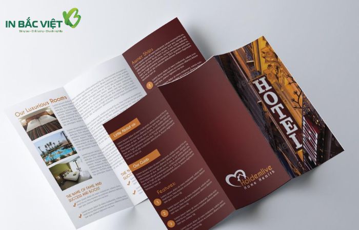 Phân loại brochure trong in ấn