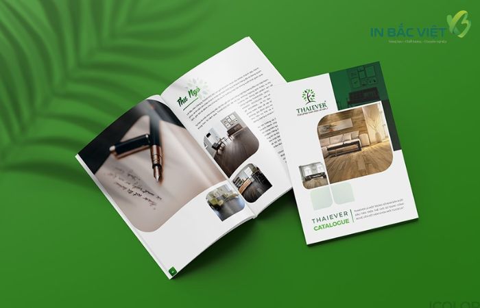 Tìm hiểu về dịch vụ in Brochure