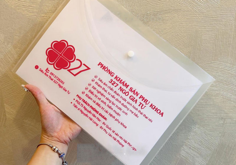 in túi đựng hồ sơ chất liệu nhựa, túi clear bag