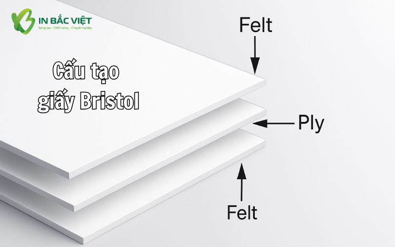 Cấu tạo chi tiết của giấy Bristol 