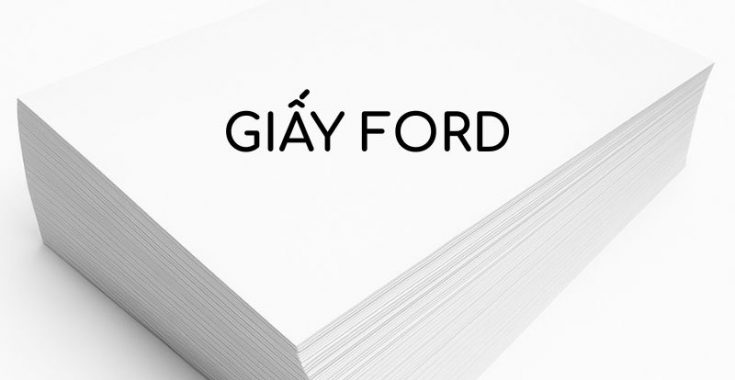 Dịch vụ in giấy Ford chất lượng giá rẻ tại In Bắc Việt