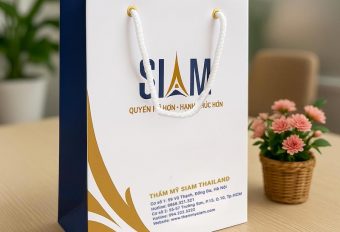 IN TÚI GIẤY SỐ LƯỢNG ÍT