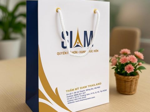 IN TÚI GIẤY SỐ LƯỢNG ÍT