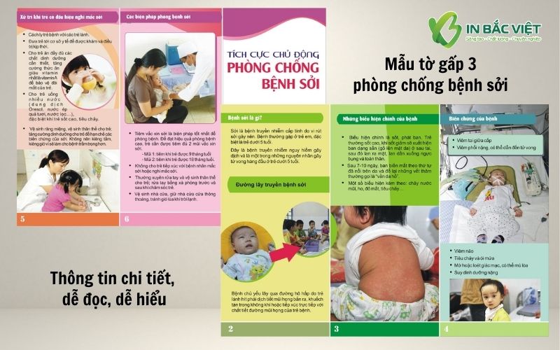 mau-to-roi-gap-3-phong-chong-benh-soi-chuyen-nghiep