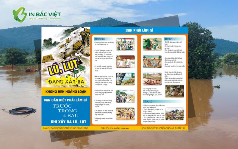 noi-dung-to-roi-phong-tranh-thien-tai-ro-rang