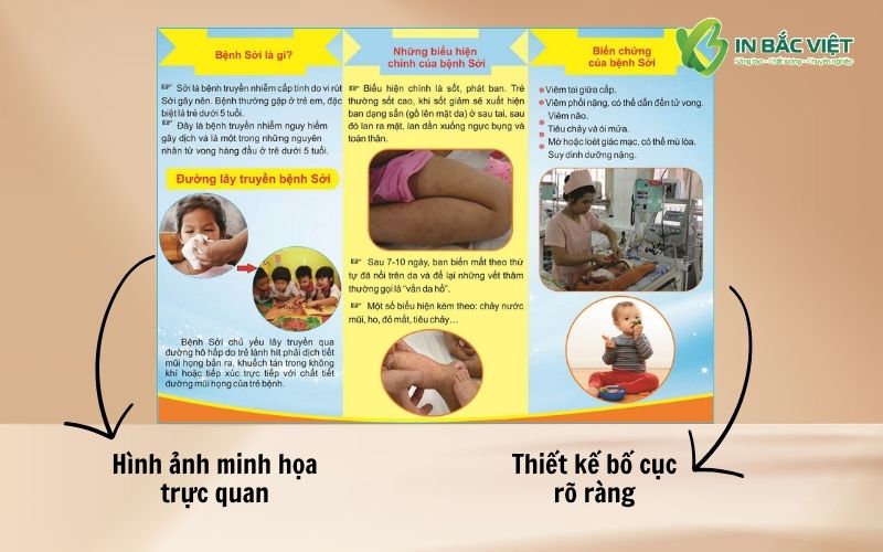 thiet-ke-to-roi-soi-bo-cuc-ro-rang-hinh-anh-minh-hoa-truc-quan