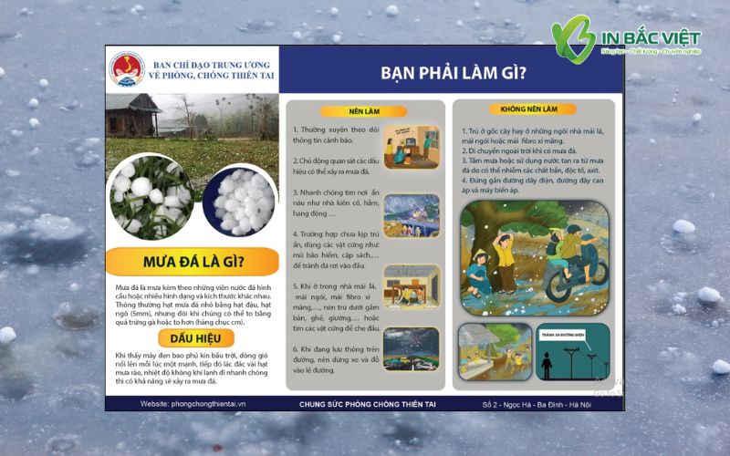 to-roi-mua-da-phong-tranh-thien-tai