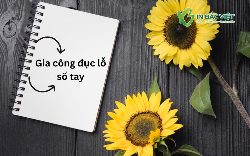 gia-cong-duc-lo-gay-so-tay