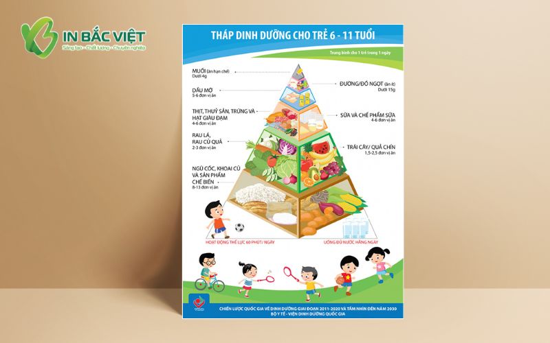 kich-thuoc-to-roi-truyen-thong-dinh-duong