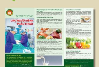 39+ MẪU TỜ RƠI DINH DƯỠNG ĐỘC ĐÁO