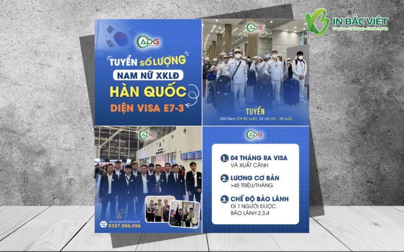 mau-to-roi-xkld-han-quoc