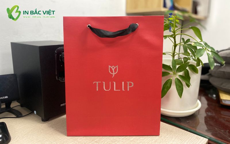 tui-giay-ep-kim-nhu-bac-thuong-hieu-cao-cap