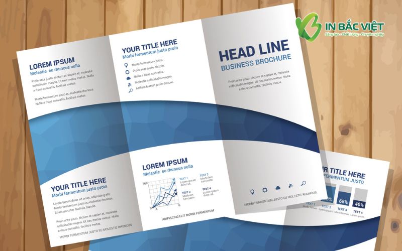 be-gan-to-roi-gap-3