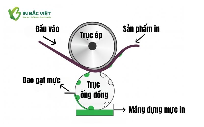 nguyen-ly-hoat-dong-in-ong-dong