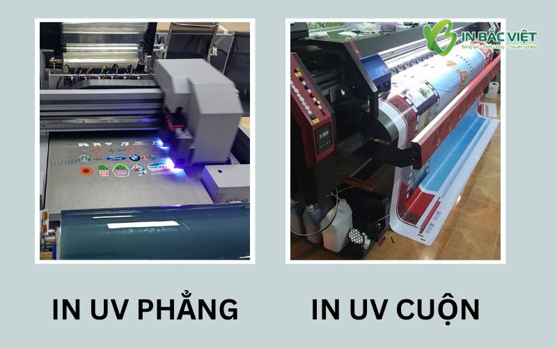 phan-loai-in-uv-phang-va-in-uv-cuon