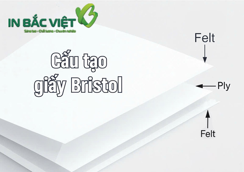 cau-tao-giay-bristol