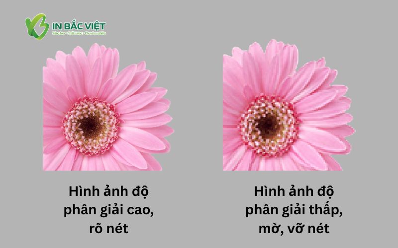 hinh-anh-mo-vo-net-trong-in-an