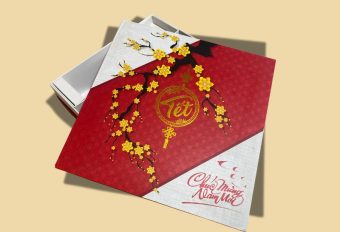 TỔNG HỢP MẪU HỘP QUÀ TẾT CÔNG TY, DOANH NGHIỆP ĐA DẠNG