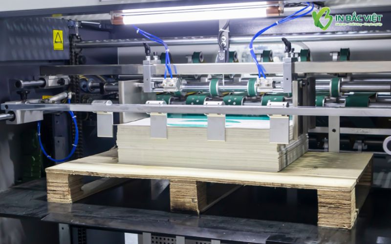 Xưởng in voucher spa In Bắc Việt