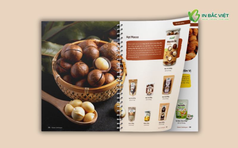 Mẫu catalog đóng lò xo mở phẳng 180 độ