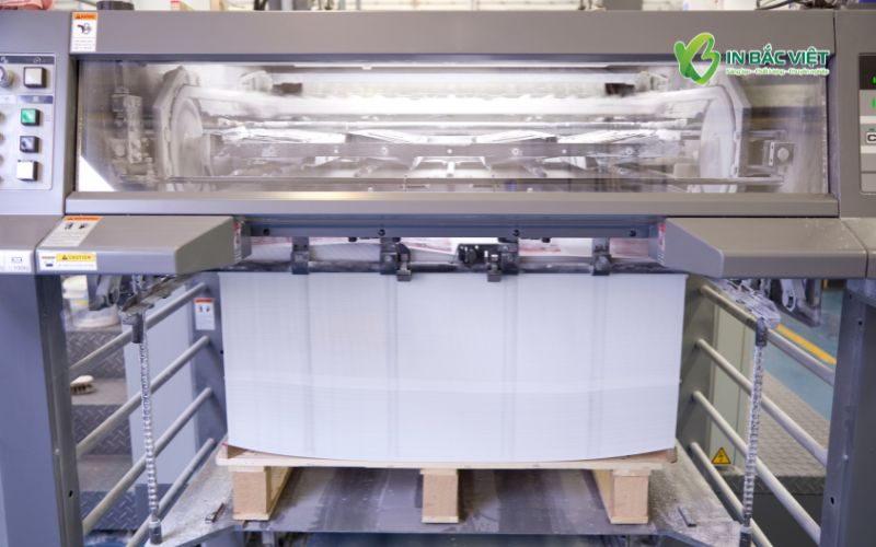 In catalogue số lượng lớn bằng công nghệ offset tại Xưởng In Bắc Việt