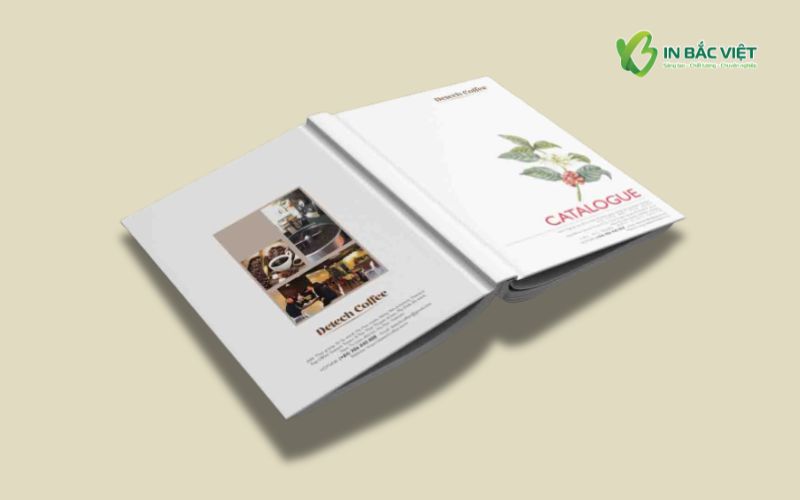 Mẫu catalogue bìa cứng cao cấp thiết kế tối giản