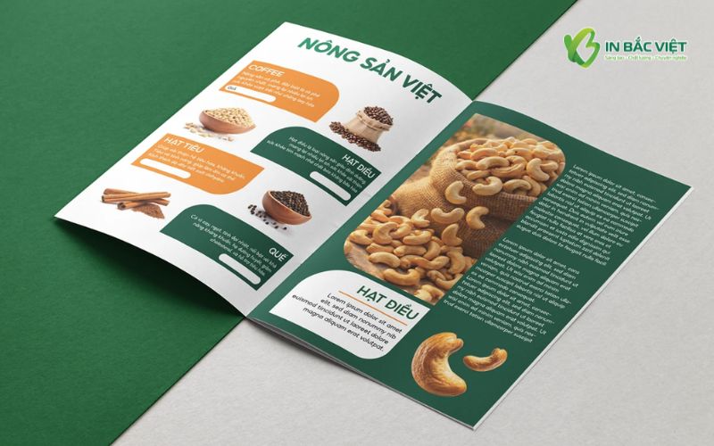 Tài liệu giới thiệu nông sản Việt với thiết kế trực quan