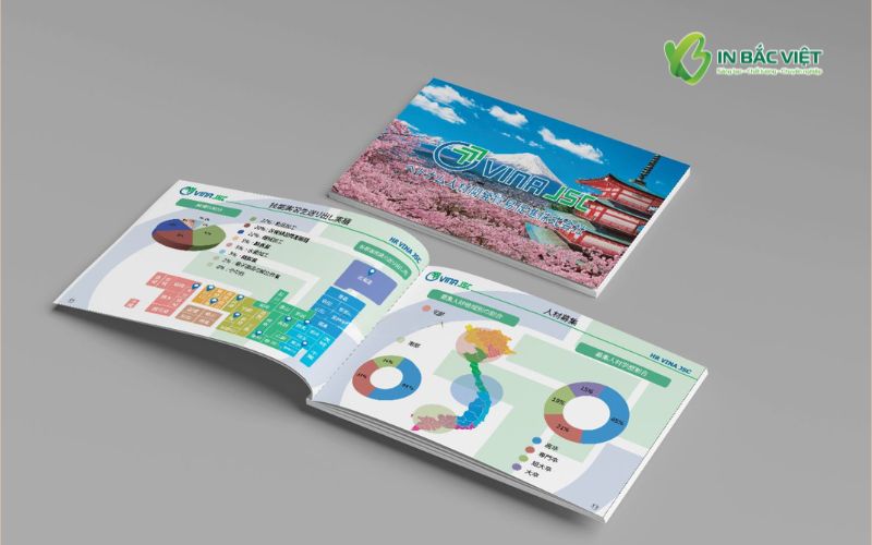 Mẫu catalogue du học khổ ngang trình bày thông tin rõ ràng, trực quan